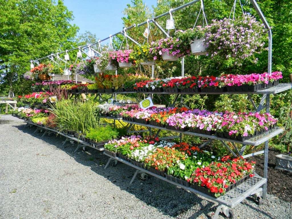 Sayreville Lawn & Garden | 300 Hartle St, Sayreville, NJ 08872, USA | Phone: (732) 390-0900