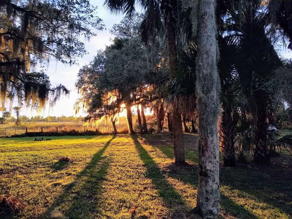 Allapattah Flats Campsite | Unnamed Road, Indiantown, FL 34956, USA