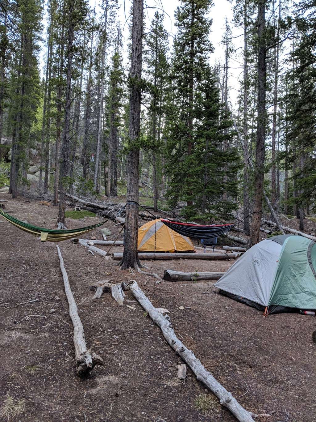 Cutbank | Estes Park, CO 80517, USA