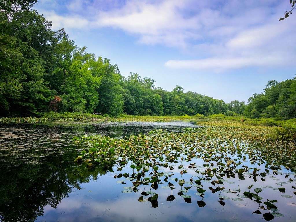 Tenafly Nature Center | 313 Hudson Ave, Tenafly, NJ 07670, USA | Phone: (201) 568-6093