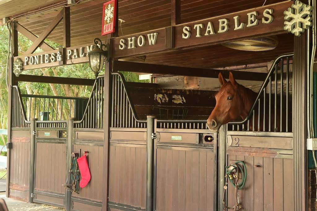 Ponies & Palms Show Stables LLC | 19721 118th Trail S, Boca Raton, FL 33498, USA | Phone: (561) 289-4024