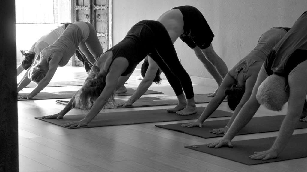 Pacific Ashtanga Yoga | 34700 Pacific Coast Hwy #205, Capistrano Beach, CA 92624, USA | Phone: (949) 246-7315