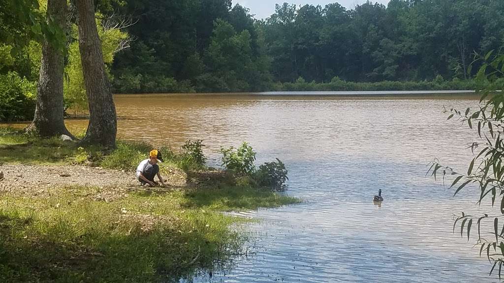 Nature Center at ASC Greenway | Anne Springs Close Greenway, 1604 State Hwy 252, Fort Mill, SC 29715, USA | Phone: (803) 547-4575