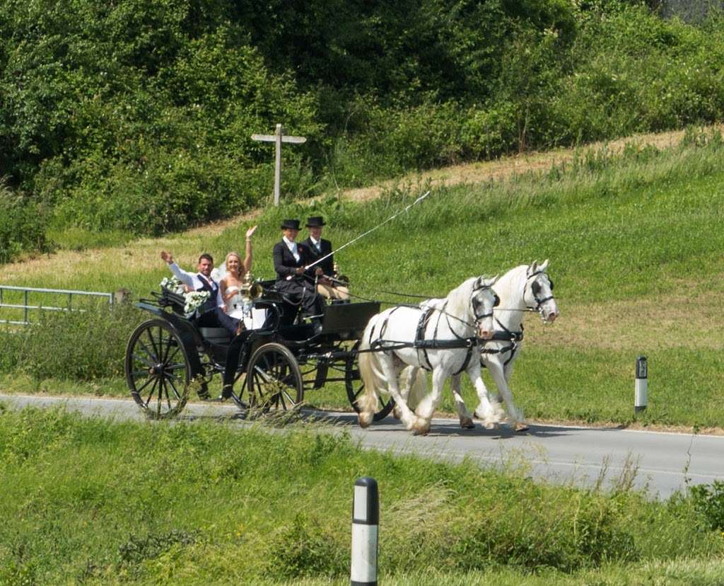 The Horse Drawn Carriage Company | Ashurstwood, Ashurst Wood RH19 3SA, UK | Phone: 07821 742016