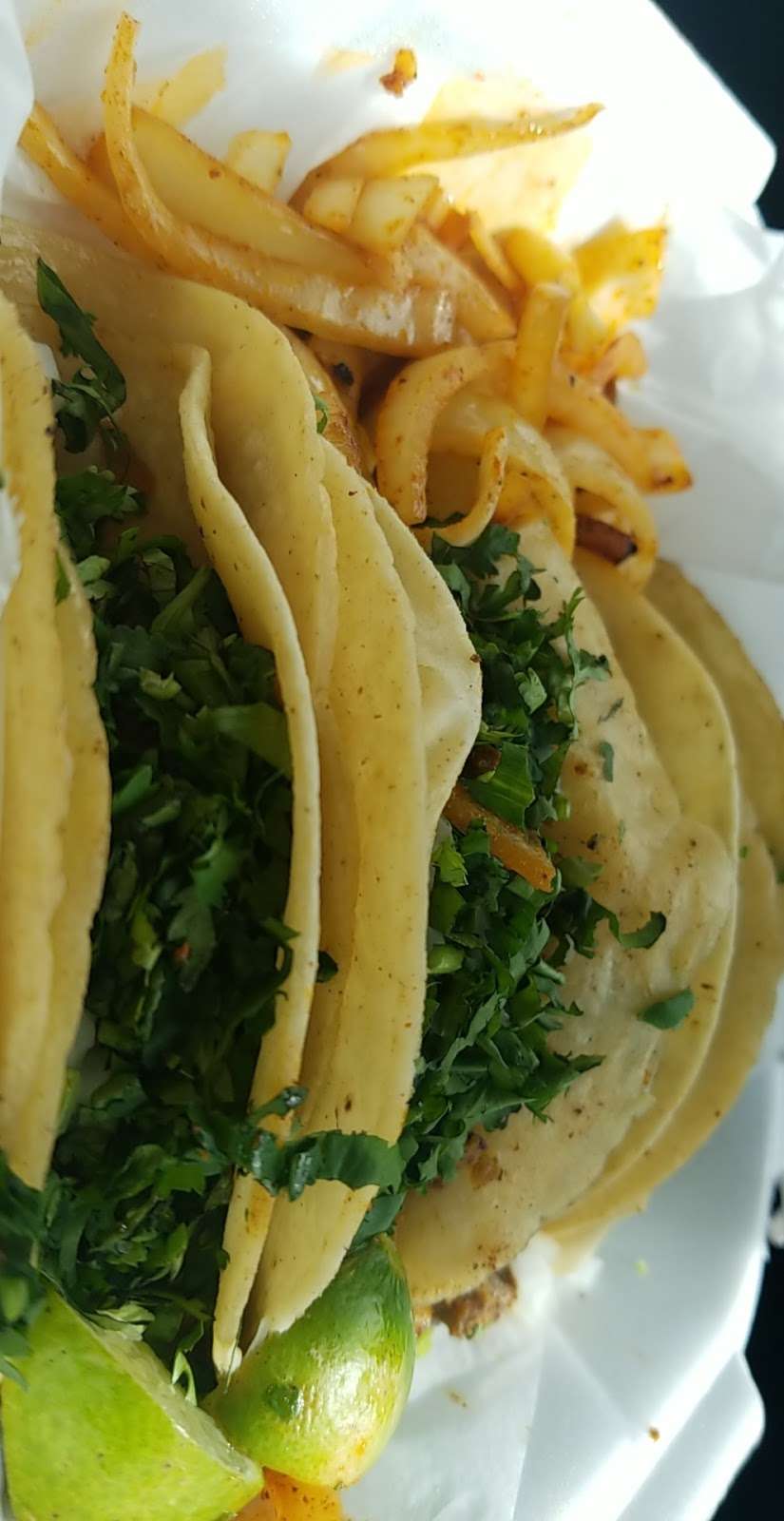 Taco Truck | 15575 FL-710, Indiantown, FL 34956, USA | Phone: (772) 872-1764