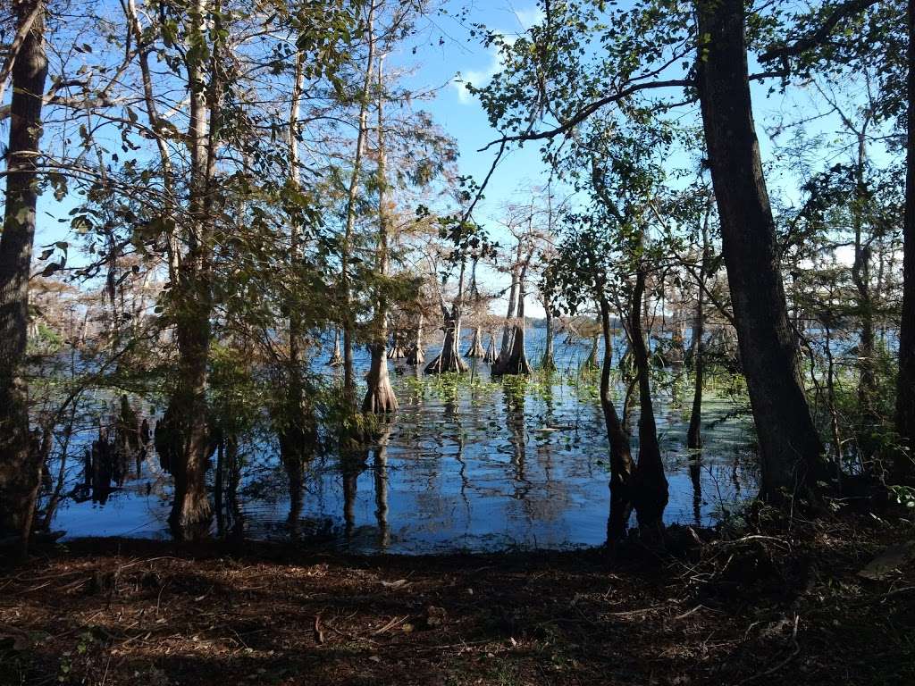 Lake Norris Conservation Area | Eustis, FL 32736, USA | Phone: (352) 343-3777