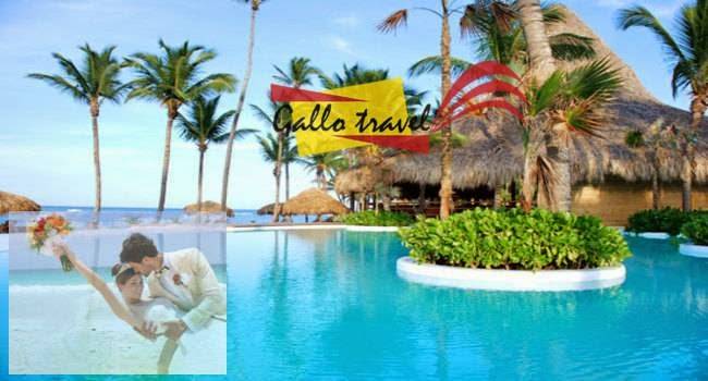 Gallo Travel Agency | 7216 SW 8th St #1, Miami, FL 33144 | Phone: (786) 762-2630