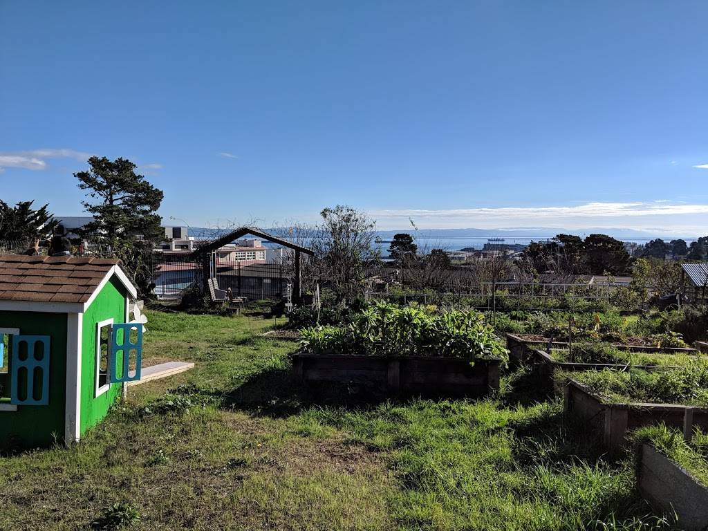 Northridge Coop CommUNITY Garden | 001 Westbrook Ct, San Francisco, CA 94124, USA | Phone: (415) 606-9541