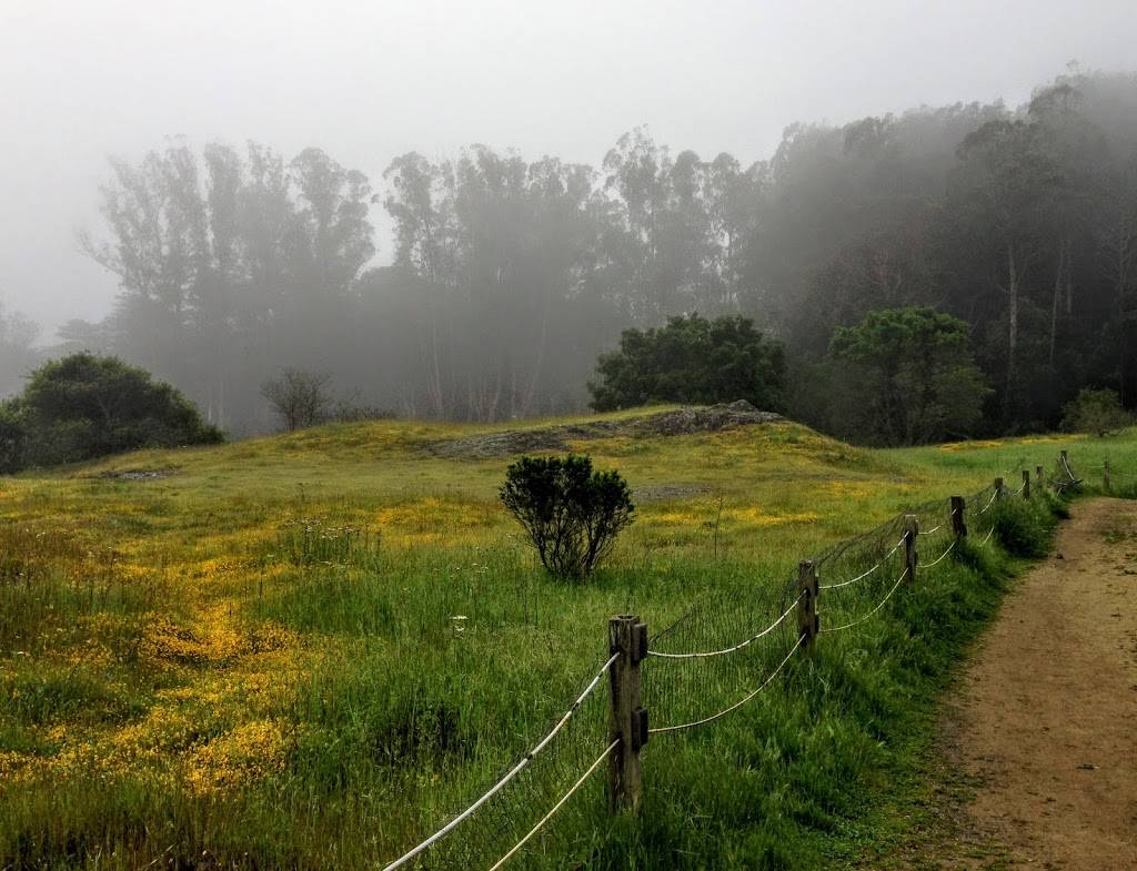 Ecology Trail | Arguello Blvd, San Francisco, CA 94129, USA | Phone: (415) 561-4323