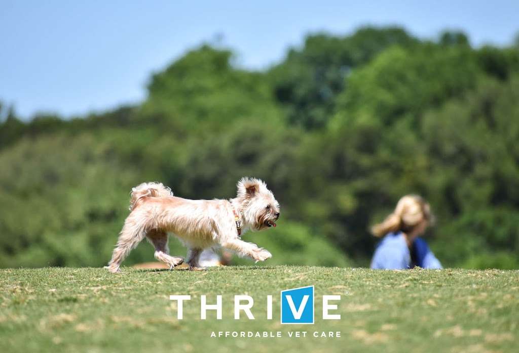 THRIVE Affordable Vet Care | 10245 North Fwy Suite 150, Houston, TX 77037 | Phone: (832) 648-2875