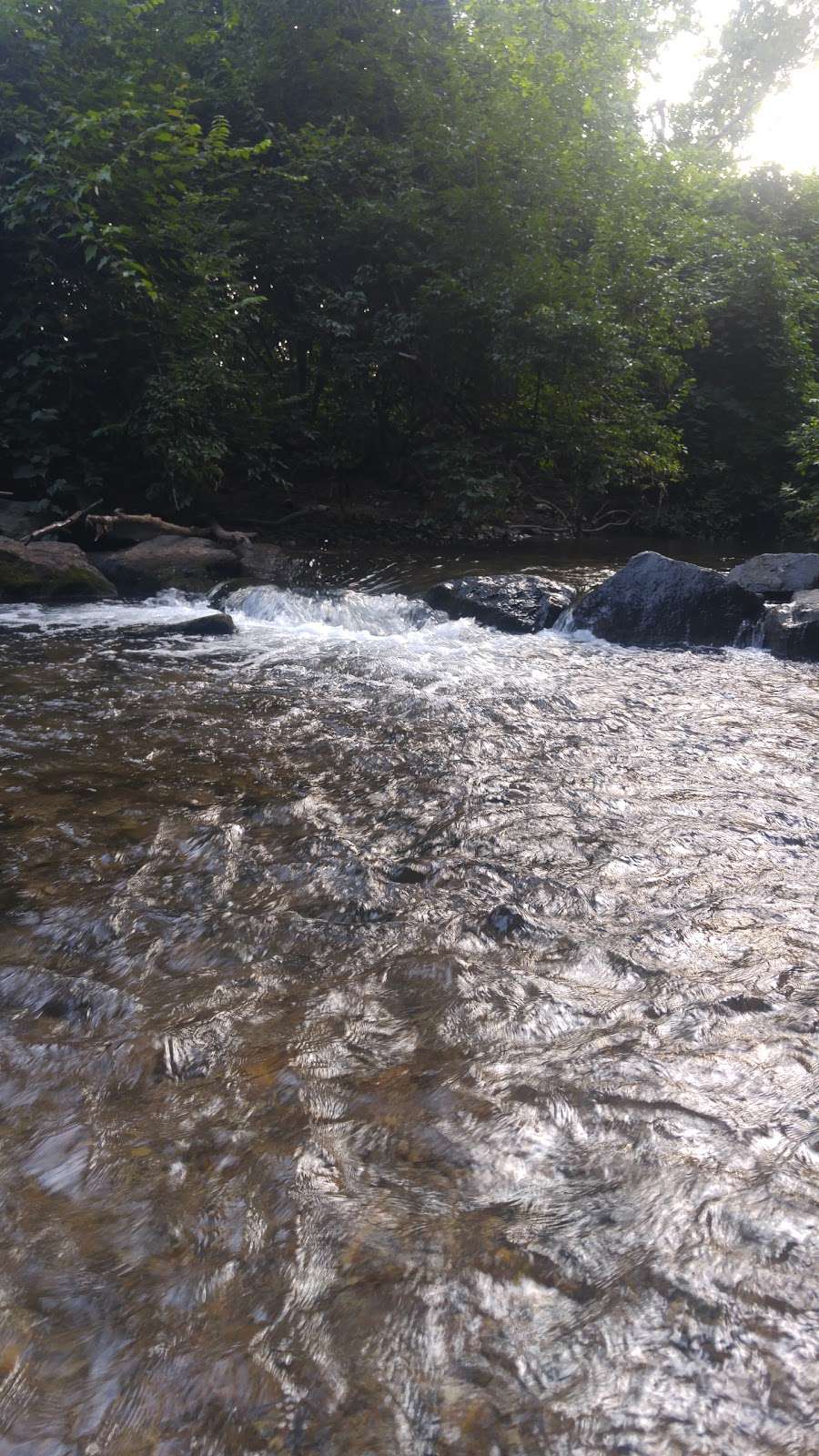 Wyomissing Park System | 1304 Parkside Dr S, Wyomissing, PA 19610, USA