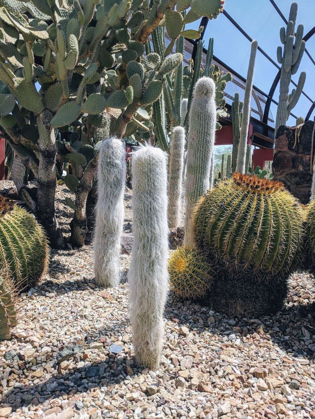 Desert Botanical Garden | Phoenix, AZ 85008, USA