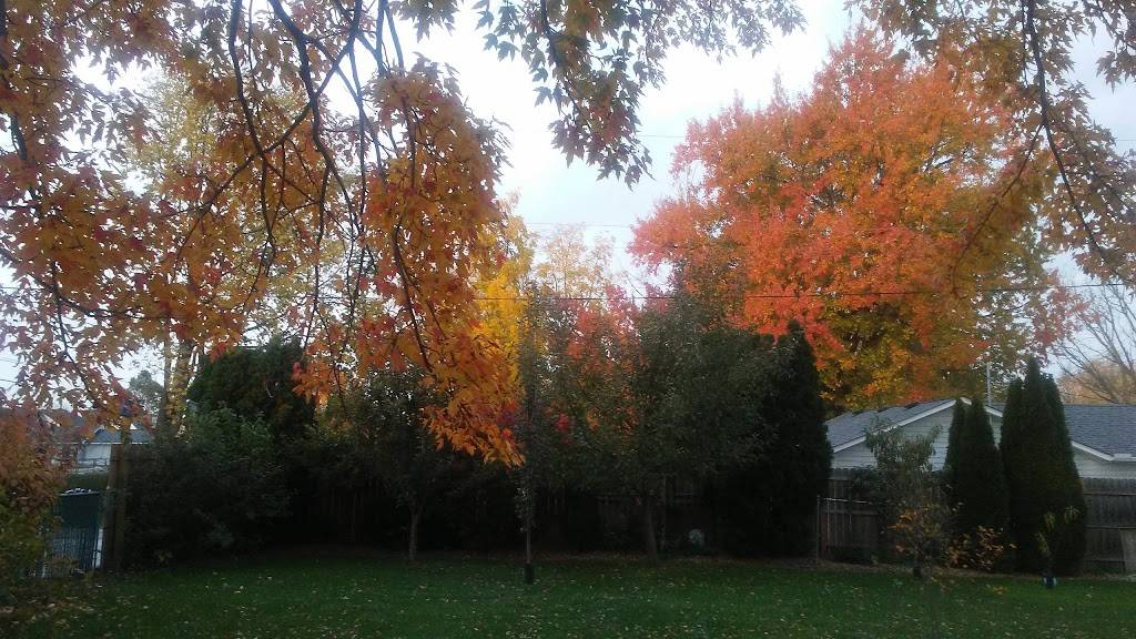 Elzey-Patterson-Rodak Funeral Home | 120 W Mill St, Ossian, IN 46777, USA | Phone: (260) 622-4114