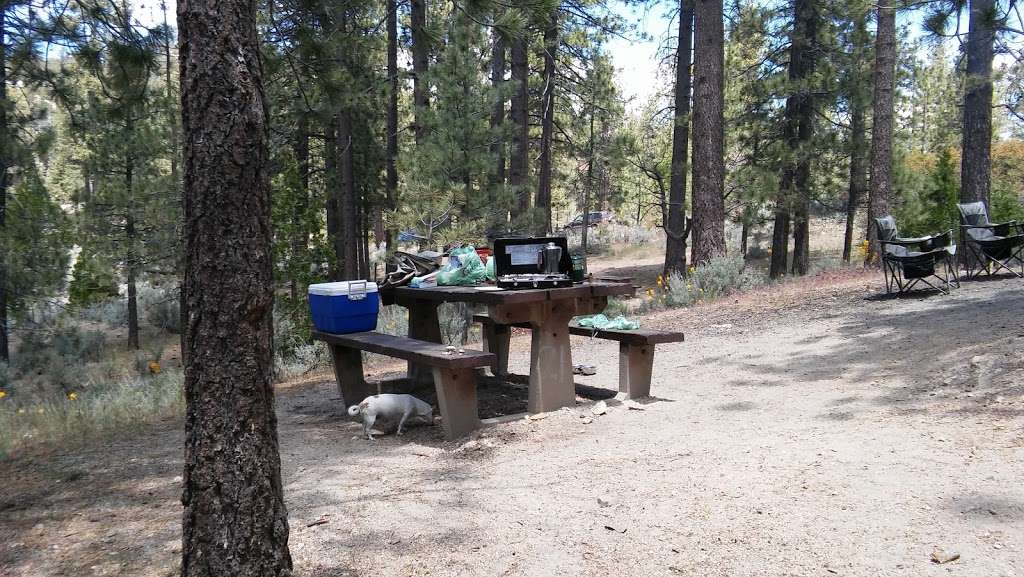 Horse Flats Campground | Pearblossom, CA 93553