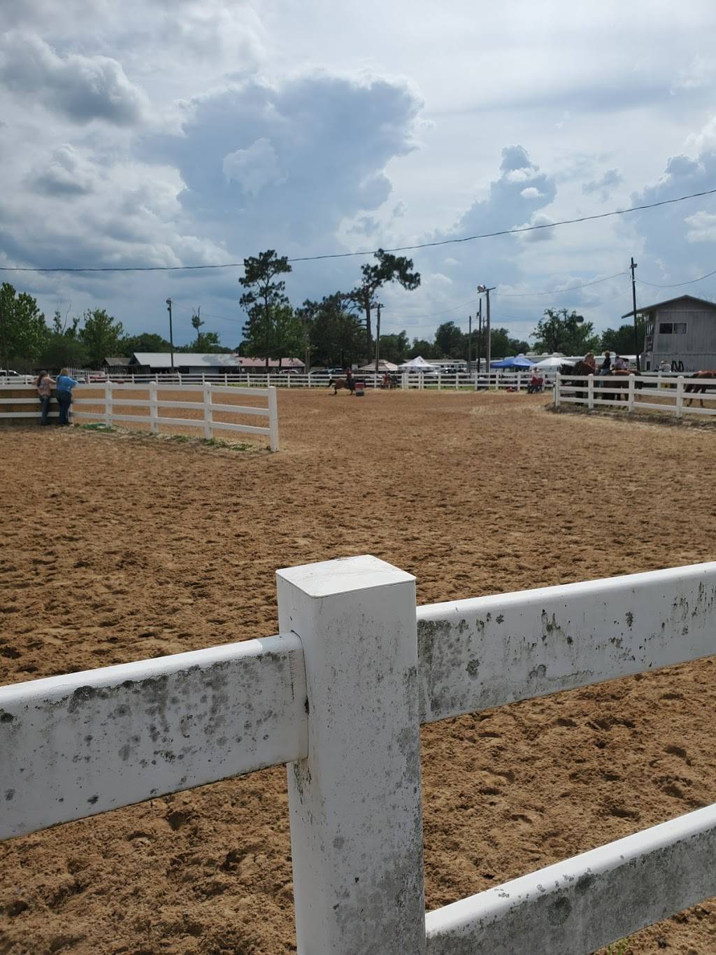 Clay Mavericks Saddle Club | 308 Tanglewood Blvd, Orange Park, FL 32065, USA | Phone: (904) 282-1631