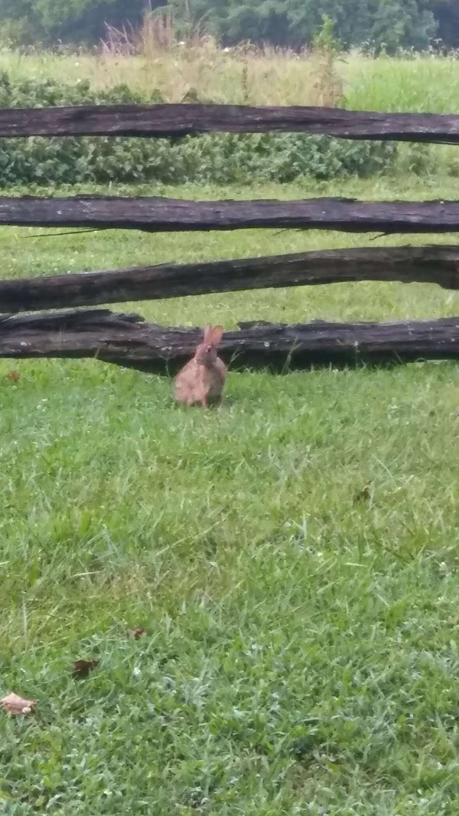 Friendship Farm Park | 4705 Friendship Landing Rd, Nanjemoy, MD 20662, USA