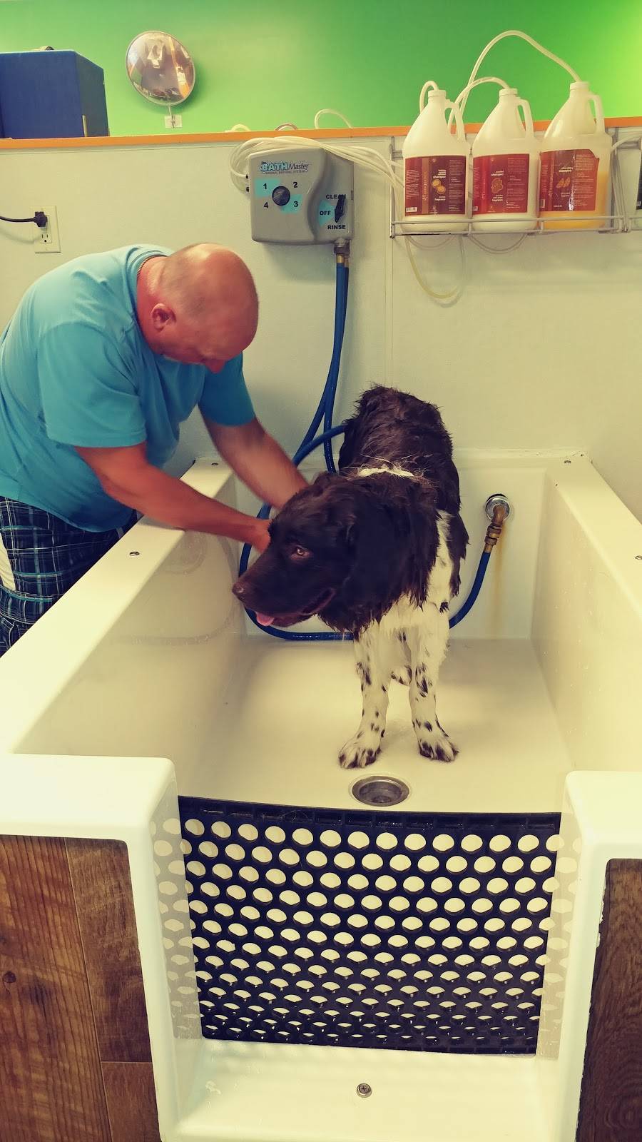 Woodys Dog Wash & Boutique | 5843 Brownsville Rd, Pittsburgh, PA 15236, USA | Phone: (412) 714-4644