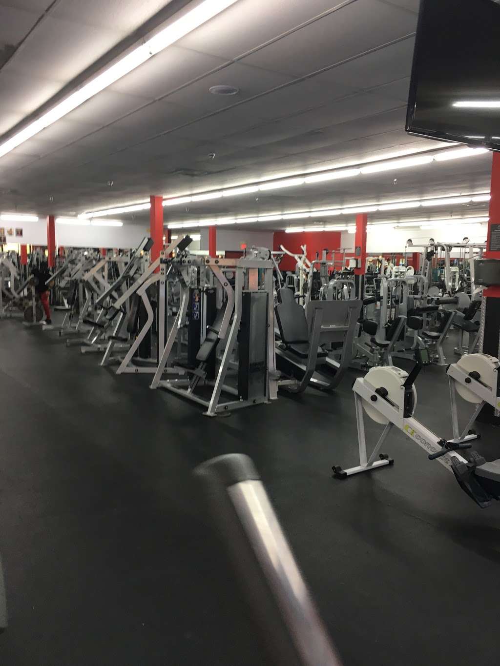 Powerhouse Gym Hamiltion | 127 US-206, Hamilton Township, NJ 08610, USA | Phone: (609) 585-4967