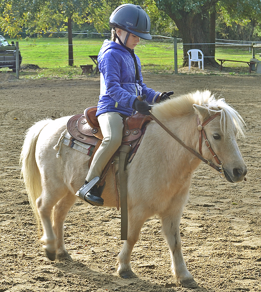 Opening Number Riding Academy | 40 Belle Rouge Farm Ln, North East, MD 21901, USA | Phone: (302) 388-6443