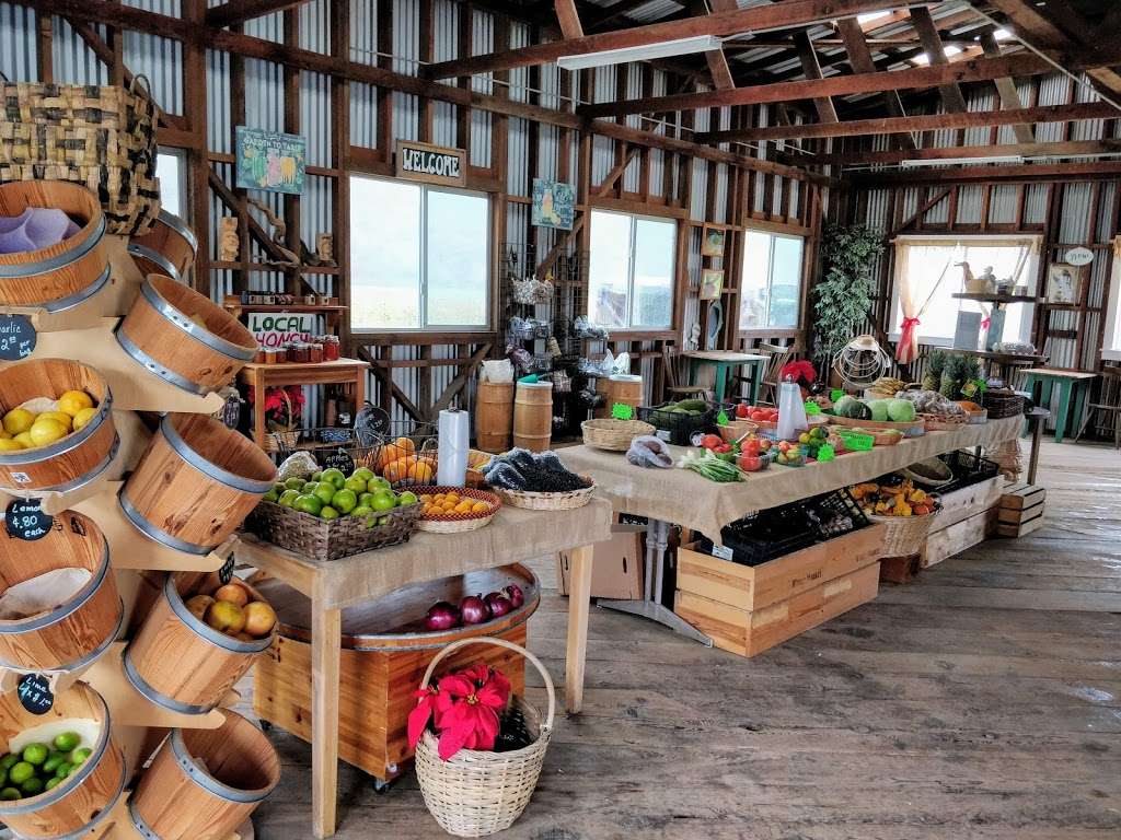 R & R Herbs | 2310 Pescadero Creek Rd, Pescadero, CA 94060, USA | Phone: (650) 954-0055