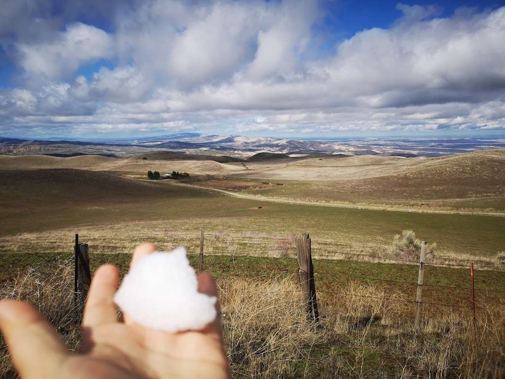 Bitter Creek National Wildlife Refuge | California 166 & Cerro Noroeste Rd, Maricopa, CA 93252, USA | Phone: (805) 644-5185