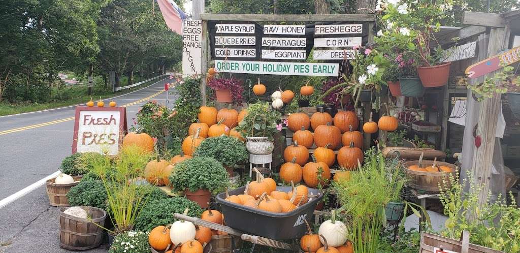 Johns Farmstand | 105 Southern Ave, Essex, MA 01929, USA