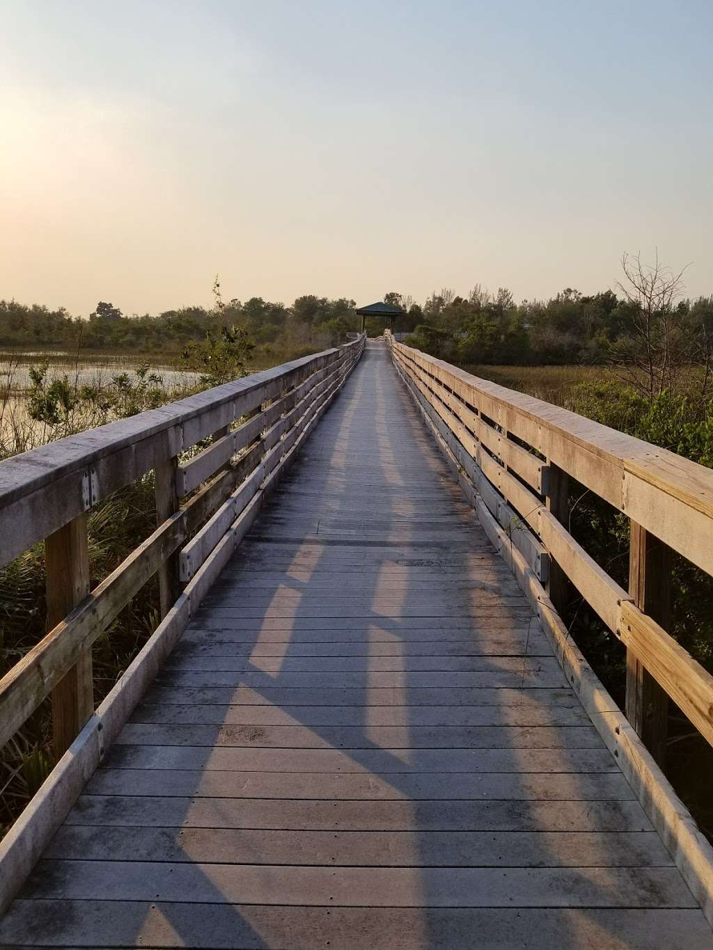 Chapel Trail Nature Preserve | 19800 Sheridan St, Pembroke Pines, FL 33332, USA | Phone: (954) 450-6895