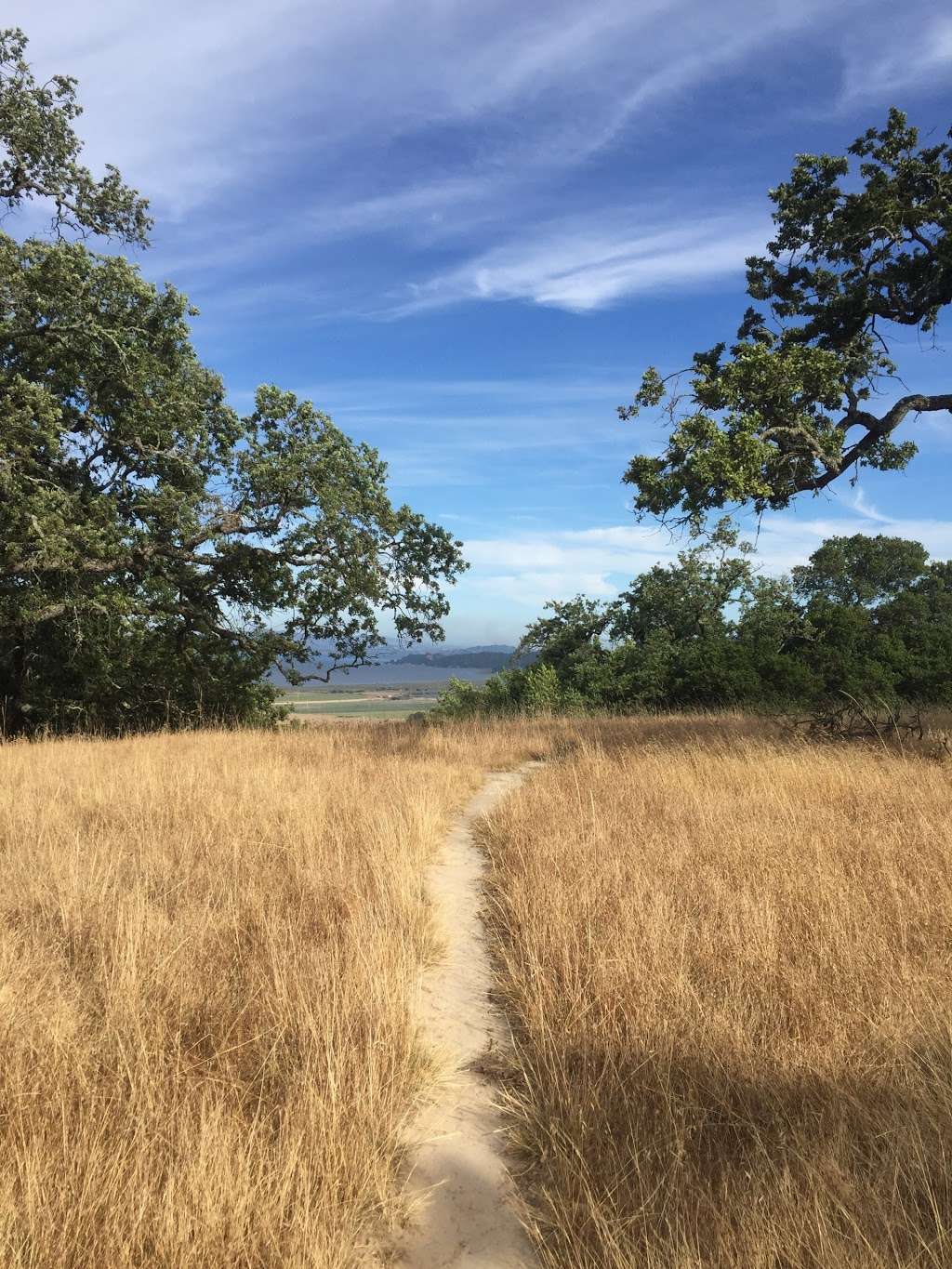 Loma Verde Preserve | Novato, CA 94949 | Phone: (415) 473-4381