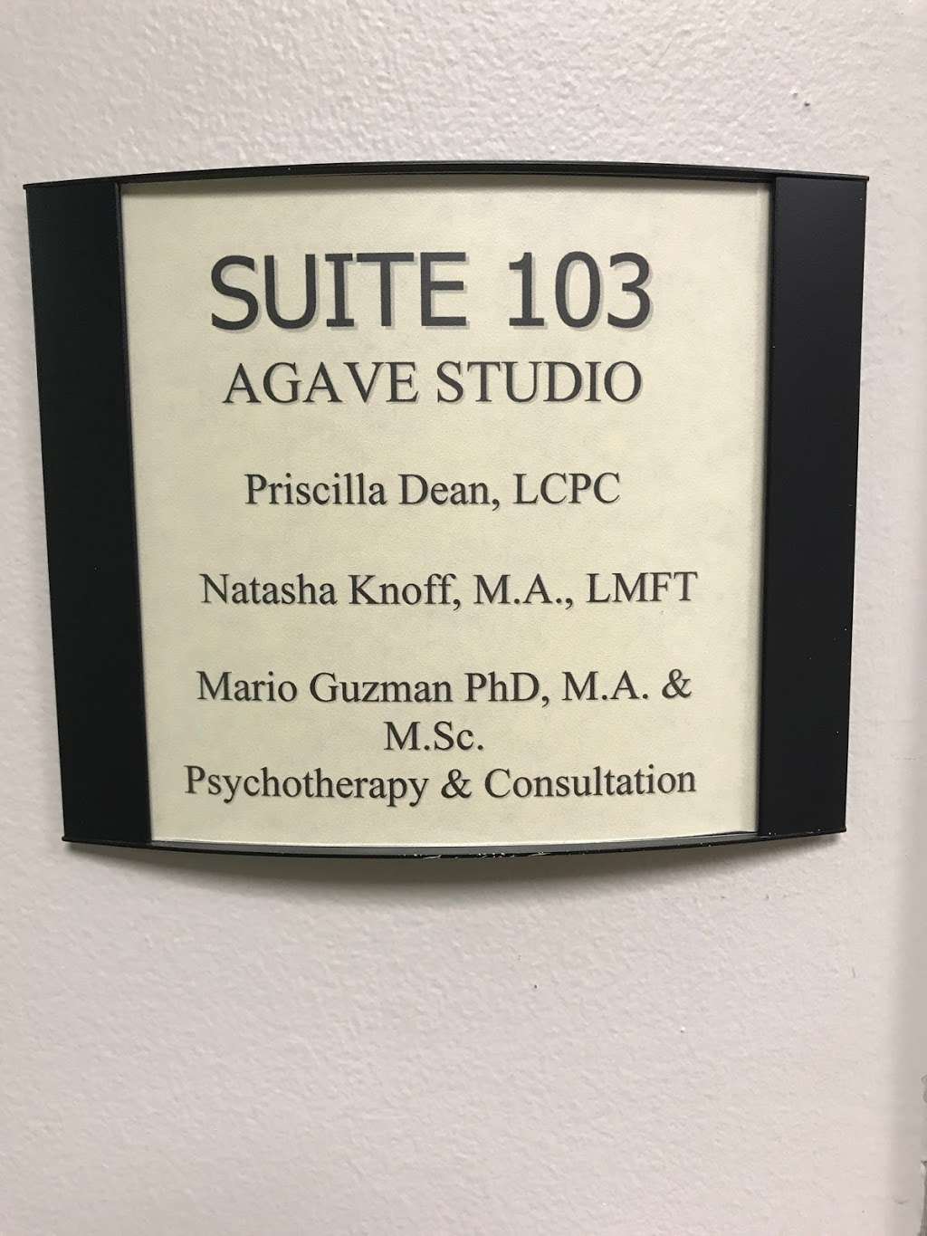 Agave Studio for Psychotherapy & Spiritual Direction | 1555 Naperville Wheaton Rd Suite 103, Naperville, IL 60563 | Phone: (630) 923-5114