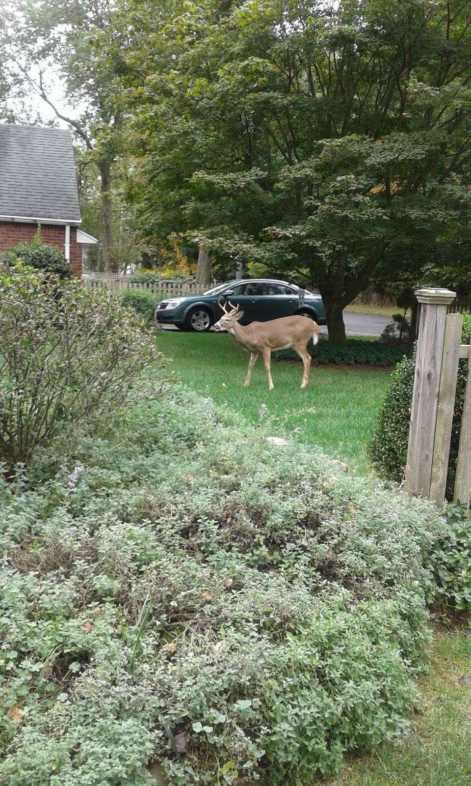 Schauble Park | 78 Bergenline Ave, Closter, NJ 07624, USA
