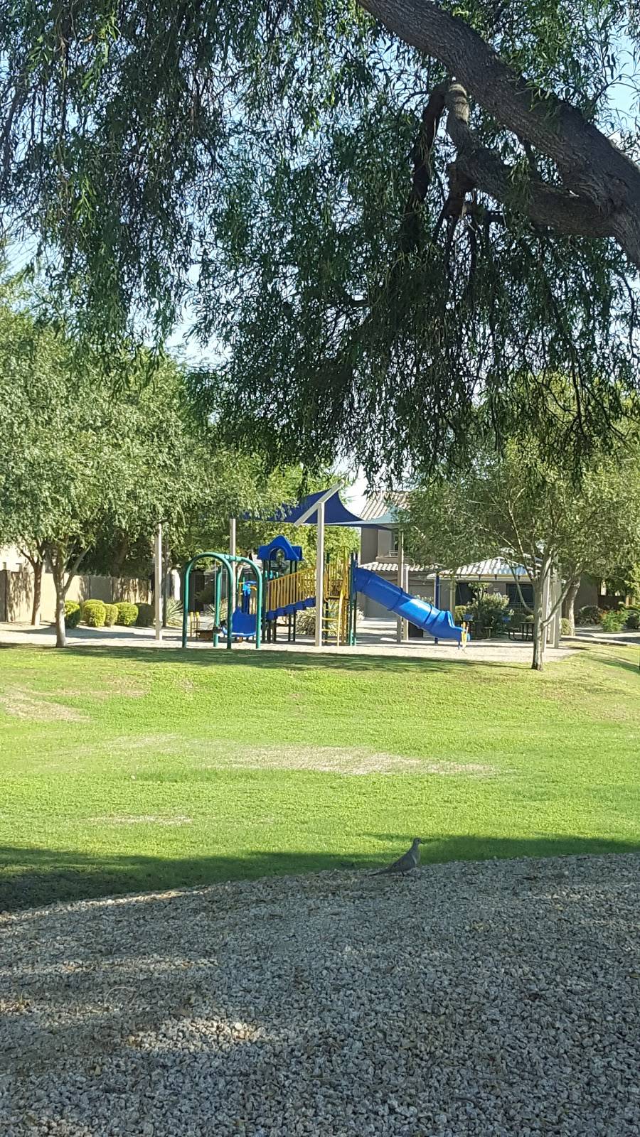 Cooper Greens Park | 1850 E Locust Pl, Chandler, AZ 85286, USA