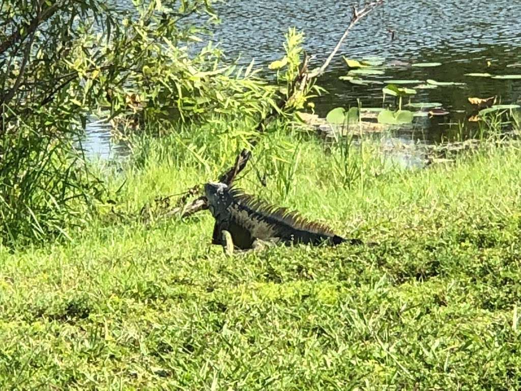 Snake Warrior Island Natural Area | 3600 SW 62nd Ave, Miramar, FL 33023, USA | Phone: (954) 357-8776