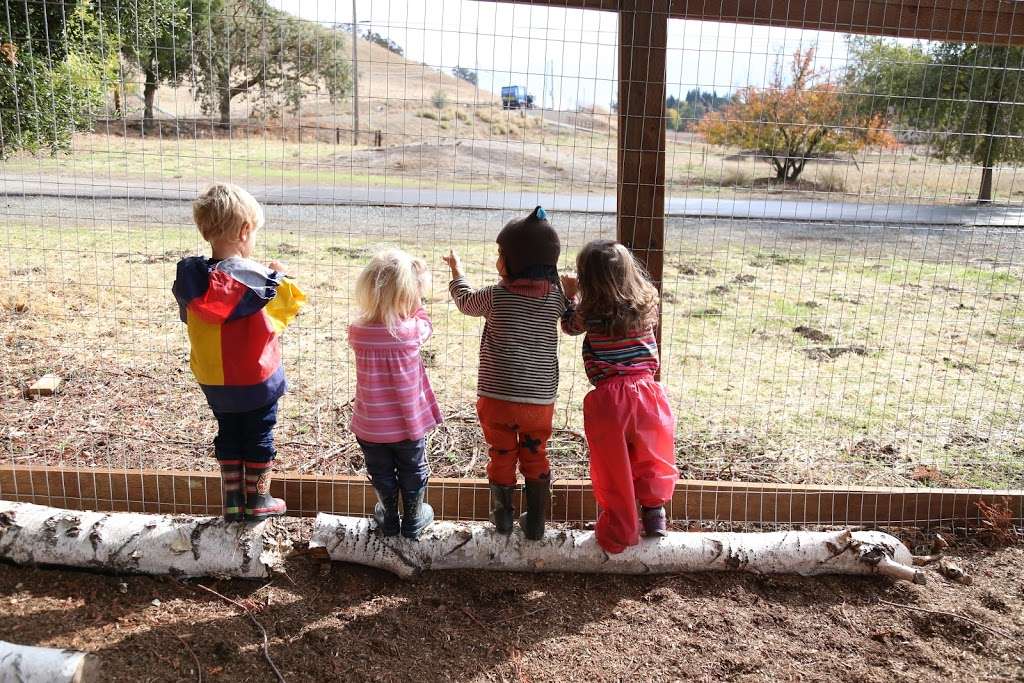 Song Sparrow Playgarden | 2605 Reliez Valley Rd, Martinez, CA 94553