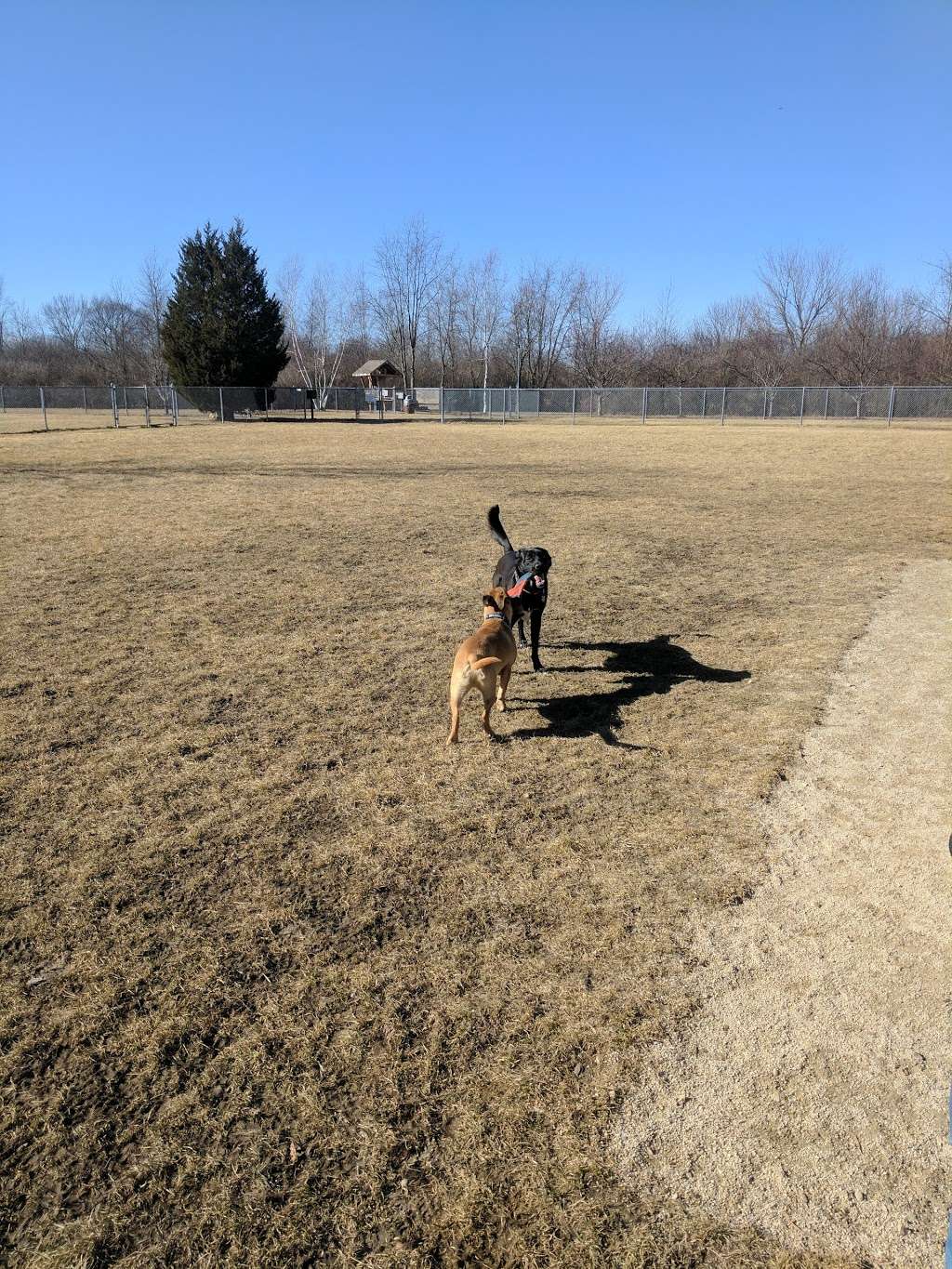 Hound Town Dog Park | Crystal Lake, IL 60014, USA | Phone: (815) 459-0680