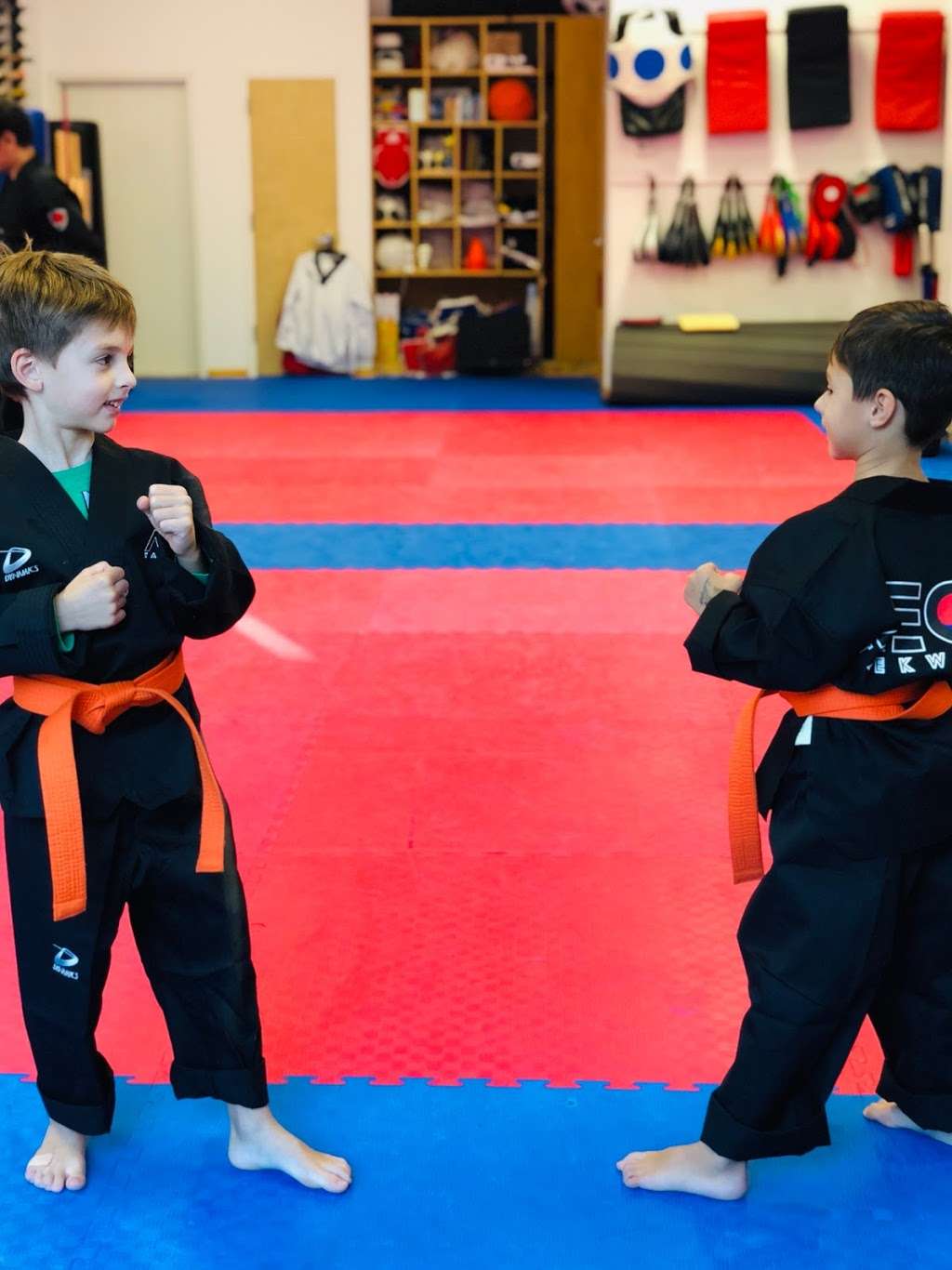 Aeon Martial Arts | 69-21 164th St #5, Fresh Meadows, NY 11365, USA | Phone: (718) 380-2366