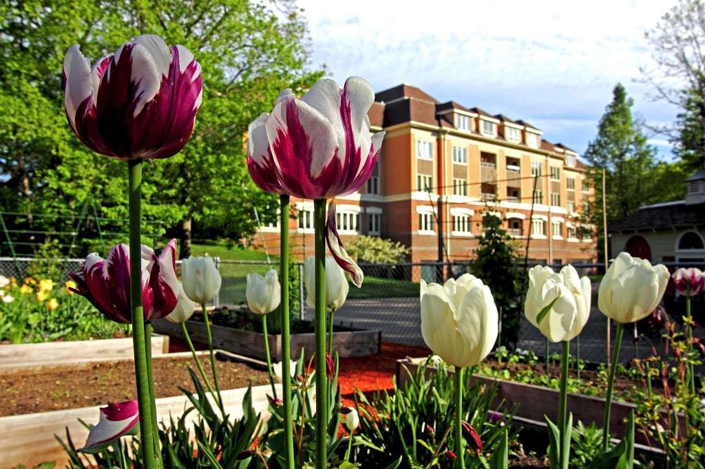 Fox Hill Village | 10 Longwood Dr, Westwood, MA 02090, USA | Phone: (781) 329-4433