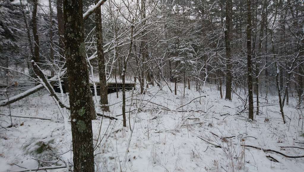 Bluebird Trail trailhead | Unnamed Road, Bloomington, IN 47401, USA