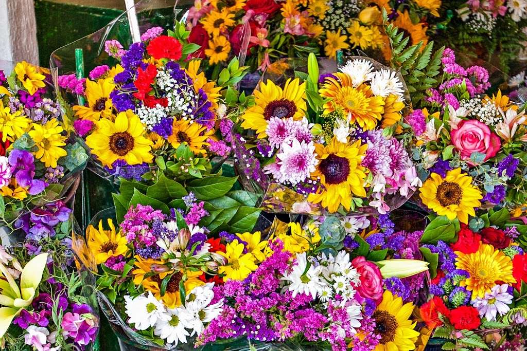 Lopez Flowers | 440 Saxony Rd, Encinitas, CA 92024, USA | Phone: (760) 634-1990