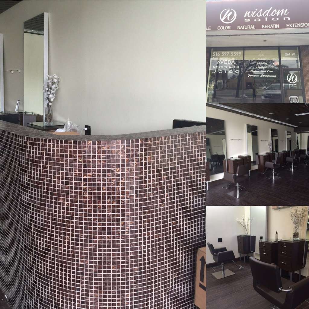 Wisdom Salon | 261 W Old Country Rd, Hicksville, NY 11801, USA | Phone: (516) 597-5599