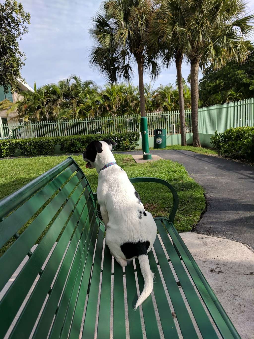 Waterways Dog Park | 3401 NE 213th St, Aventura, FL 33180, USA | Phone: (305) 466-8008