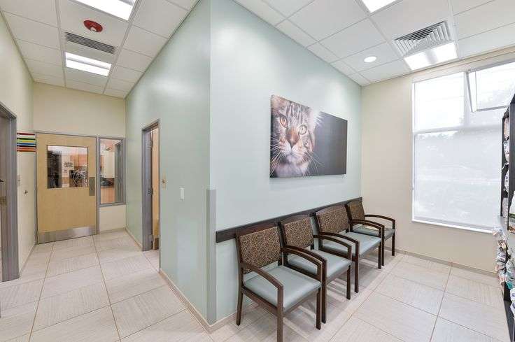 VCA Hillsboro Animal Hospital | 5619 Regency Lakes Blvd, Coconut Creek, FL 33073 | Phone: (954) 428-5599