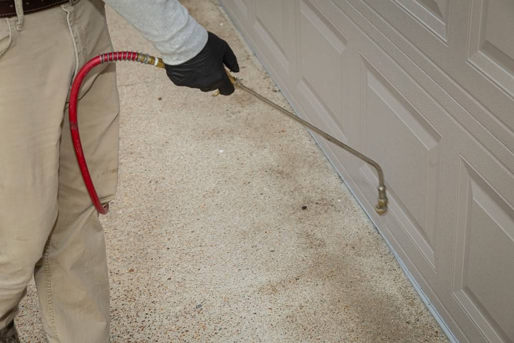 Diamond Exterminators | 4544 Bainbridge Blvd, Chesapeake, VA 23320, USA | Phone: (757) 545-2001