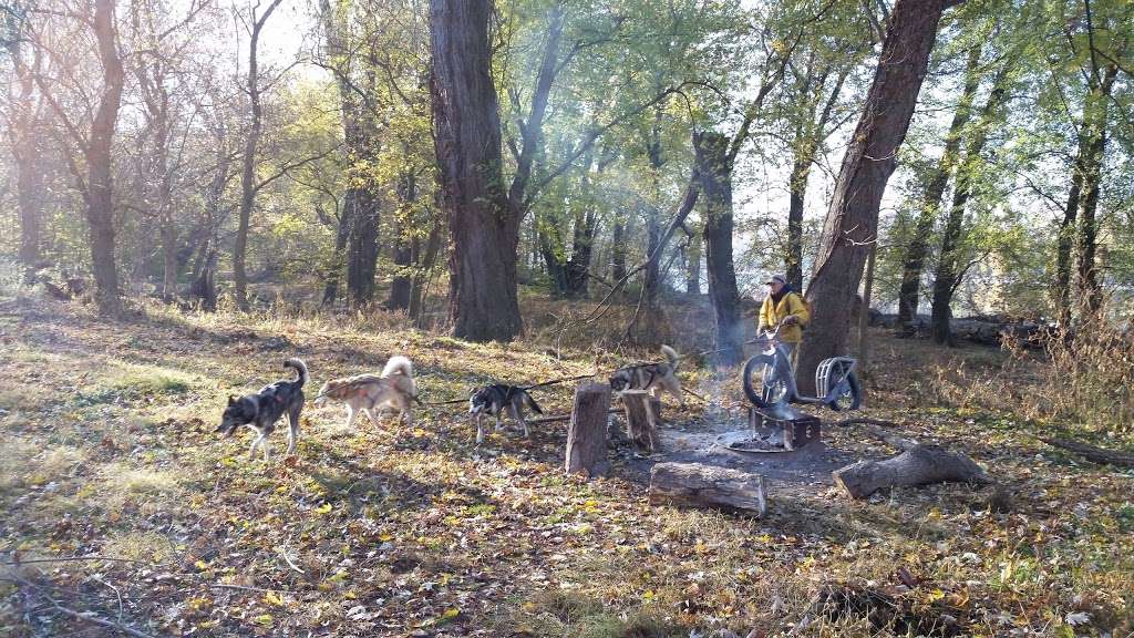 Chisel Branch Campsite | Chesapeake and Ohio Canal Towpath, Poolesville, MD 20837, USA