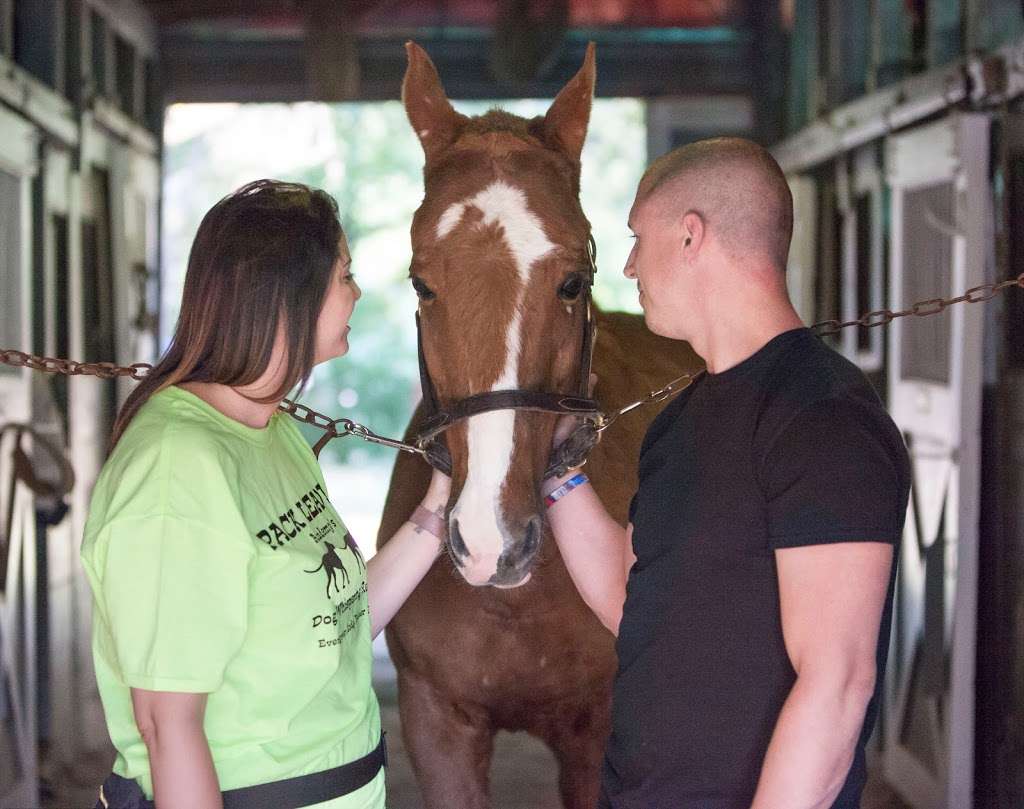 New Beginnings Therapeutic Riding Foundation NFP | 10101 S Kean Ave, Palos Hills, IL 60465 | Phone: (708) 598-7718