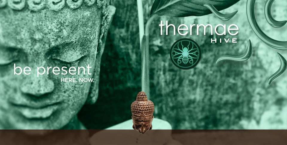 Thermae Hive | 3300 E Oakland Park Blvd, Fort Lauderdale, FL 33308, USA | Phone: (954) 648-5831