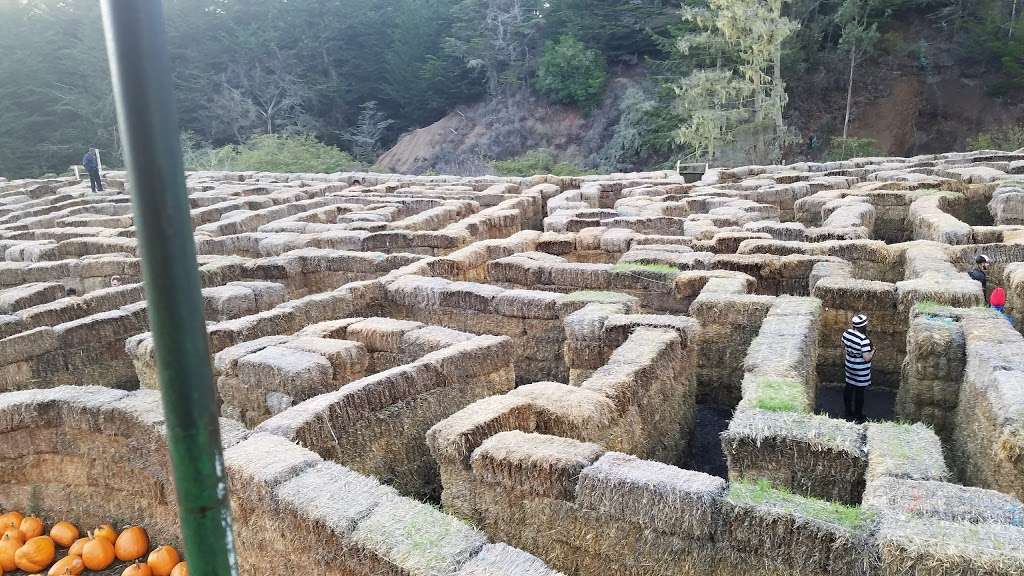 Aratas Pumpkin Farm | 185 Verde Rd, Half Moon Bay, CA 94019, USA | Phone: (650) 726-7548