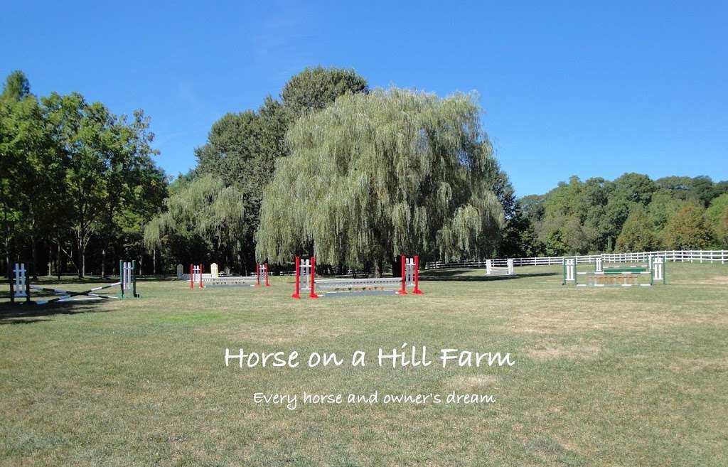 Horse on a Hill Farm | 7 Equine Ln, St James, NY 11780, USA | Phone: (631) 662-2185