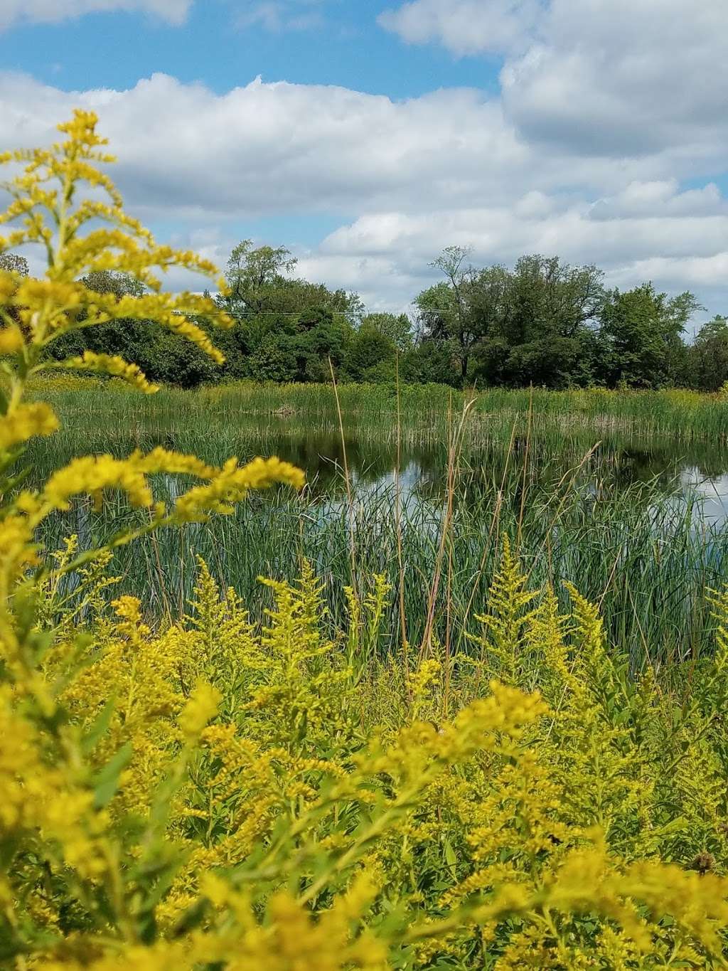 Mayslake Forest Mayslake Forest Preserve And Dog Park | 3401-3499 St Paschal Dr, Oak Brook, IL 60523