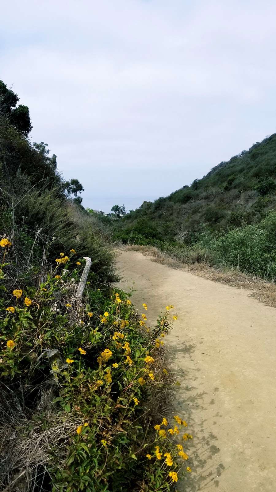 Valido Trail | Valido Trail, Laguna Beach, CA 92651, USA