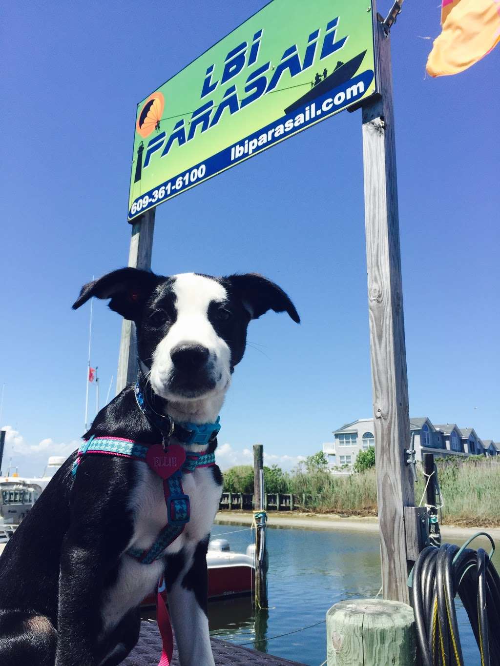 LBI Parasail | Lighthouse Marina, W 6th St, Barnegat Light, NJ 08006 | Phone: (609) 361-6100